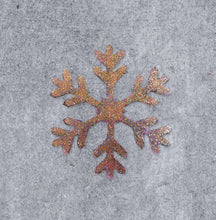 Load image into Gallery viewer, Sparkling Dreamy Silver Trophy Snowflake Type B(Holiday Edition)