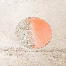 Load image into Gallery viewer, Rosa Starlight(Special Edition)